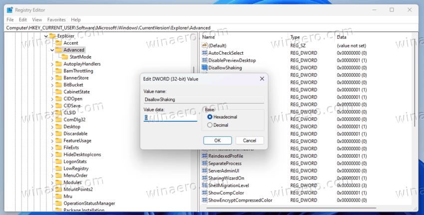 Enable Aero Shake In The Registry