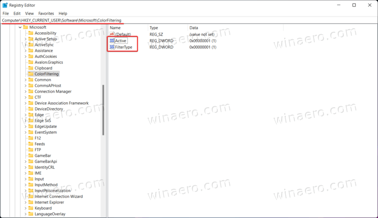 Enable Color Filters in the Windows Registry