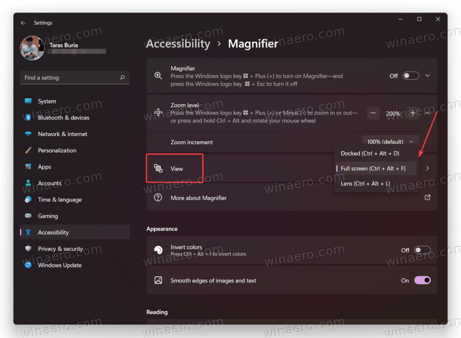 Change Screen Magnifier View in Windows 11