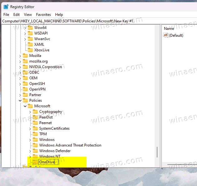 Name The New Key As OneDrive