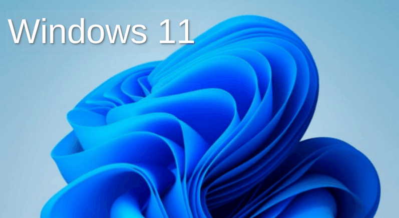 Windows 11 Banner