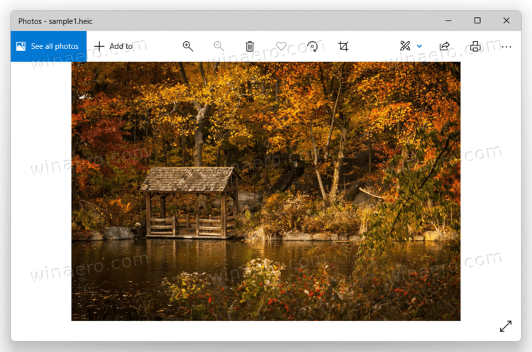 Windows 11 Heic File In Photos App