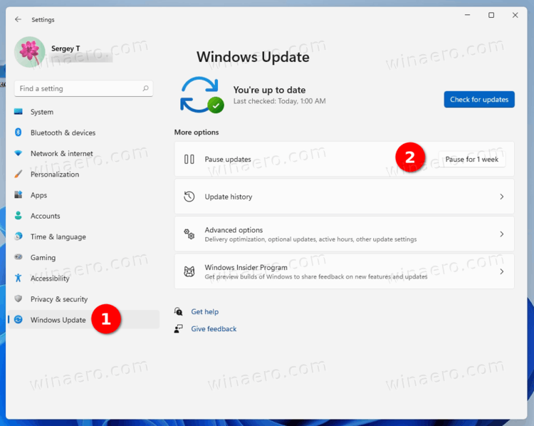 Windows 11 Pause Updates