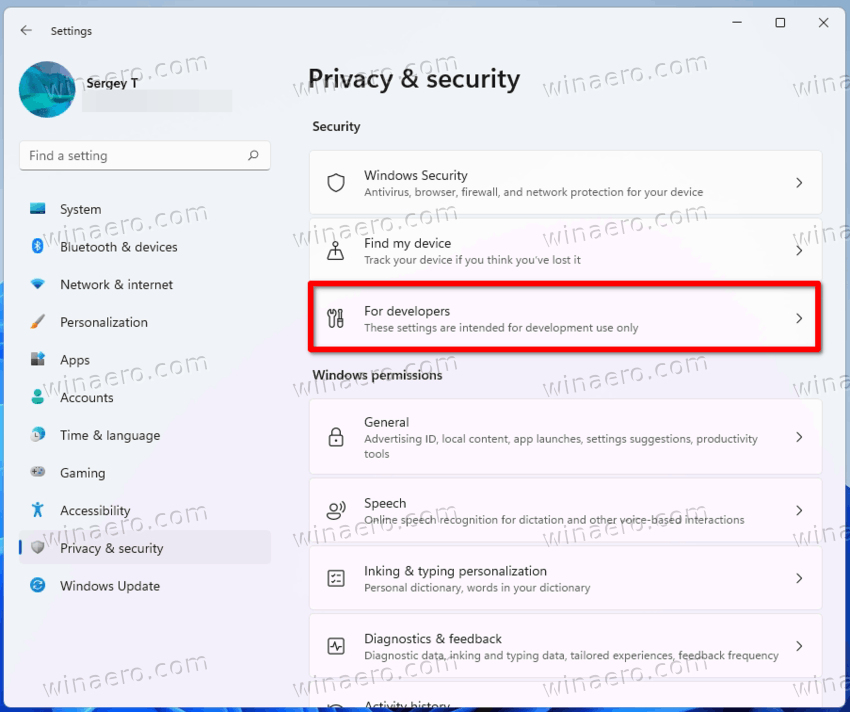 Windows 11 Settings, For Developers Option