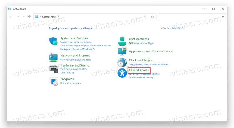 Ease of access icon